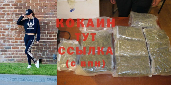 кокс Алзамай